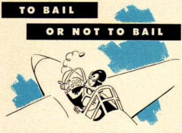 To_Bail_Or_Not_To_Bail.JPG.70e02170f5880f4adb17fb97891b59db.JPG