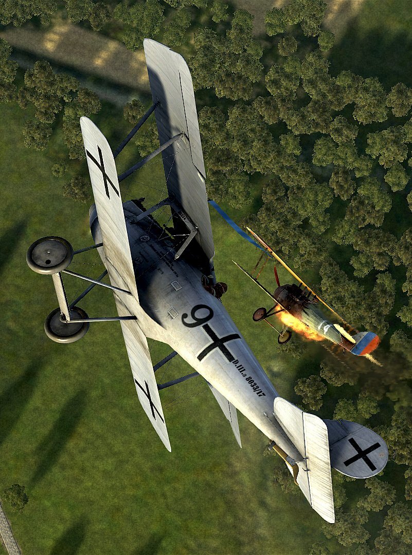Pfalz.jpg.1e3dbe0ae97efed2c765351e7bc170e2.jpg