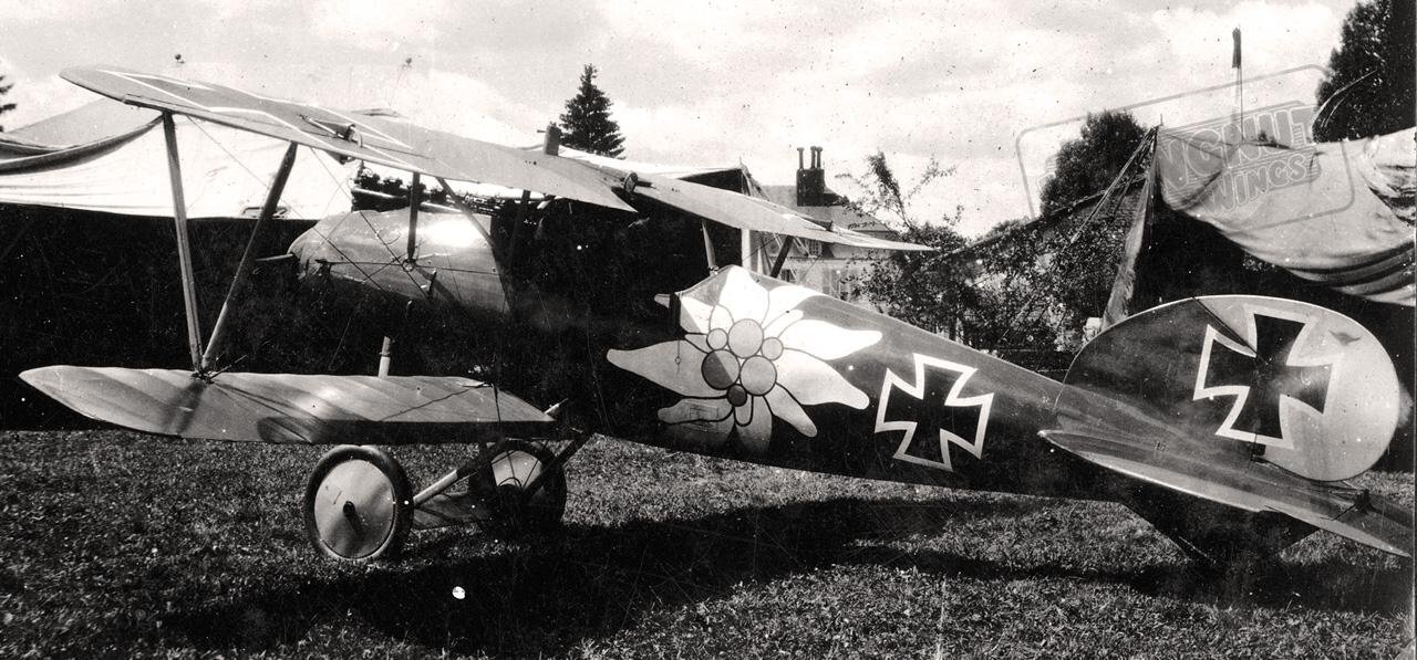 AlbatrosD.VJasta16bOttoKissenberth.jpg.51f5a866cba76c9b0e9f4c5cb8d9db28.jpg
