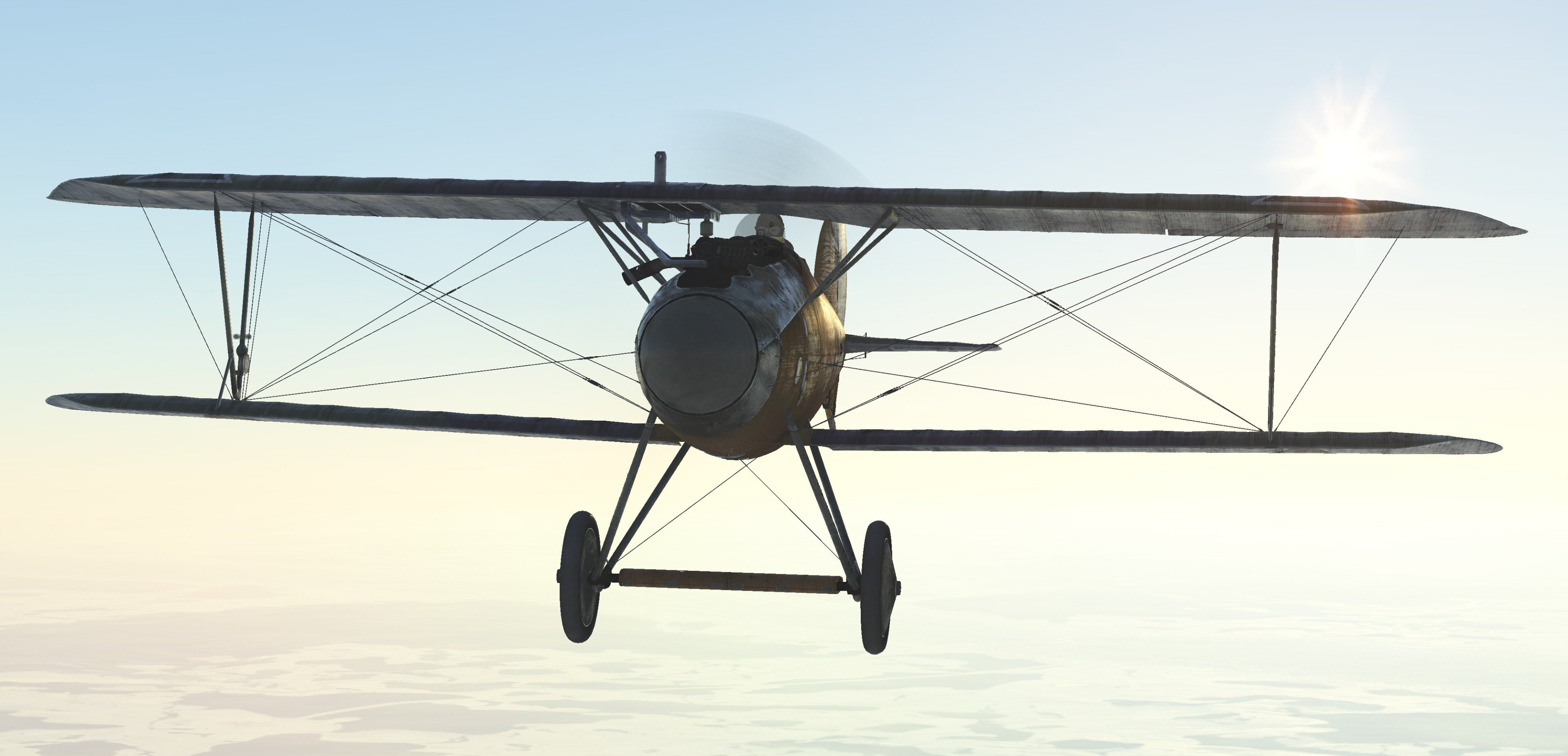 AlbatrosD_Va.jpg.3a1657b3346a442bcdd2e472c8a53de2.jpg