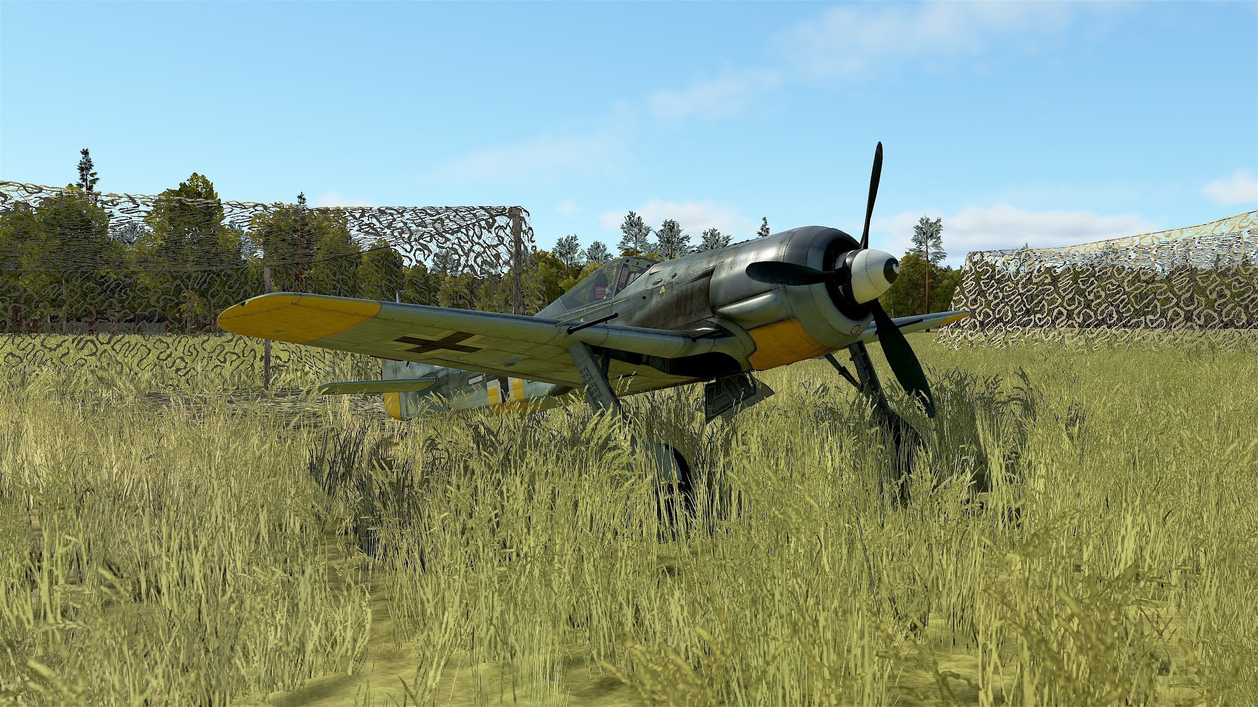 FW-190A6.jpg.379fb1b11446941ebbfd98ba68dd1455.jpg