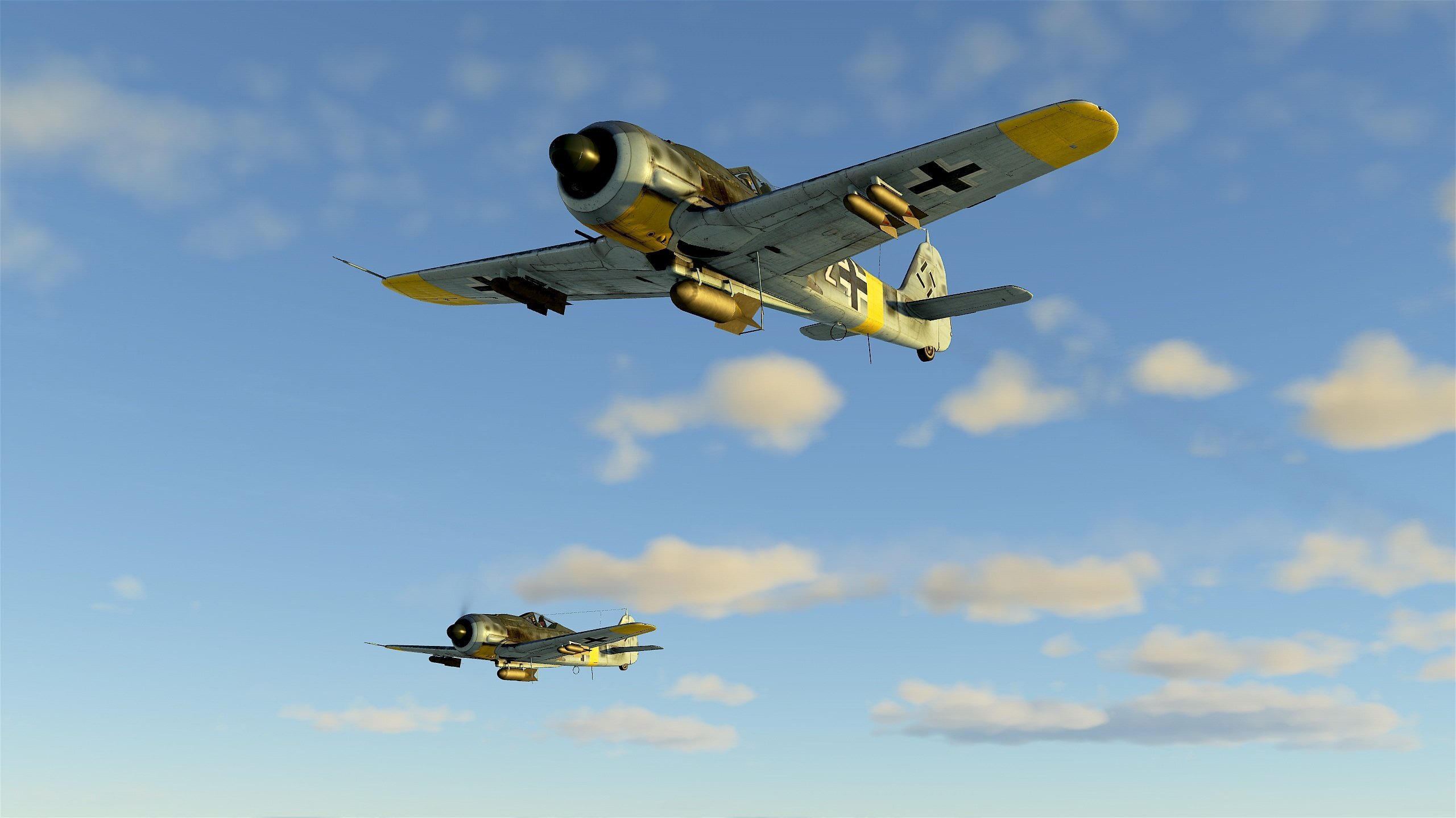 FW-190F8ext.jpg.808cb1f5ed0d2d5ebd881a3fa3da9a67.jpg