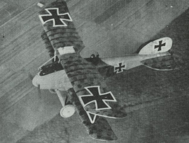 albatros_d3_2.jpg.fc1bfba68eb9775107182ad99e256f46.jpg