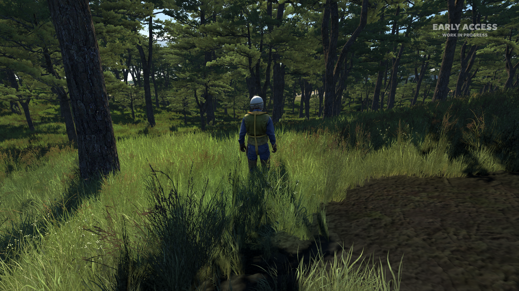 Forestwalk.png.5adf68a9f8ed7ad7da832aad90c07398.png
