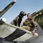 Wardog