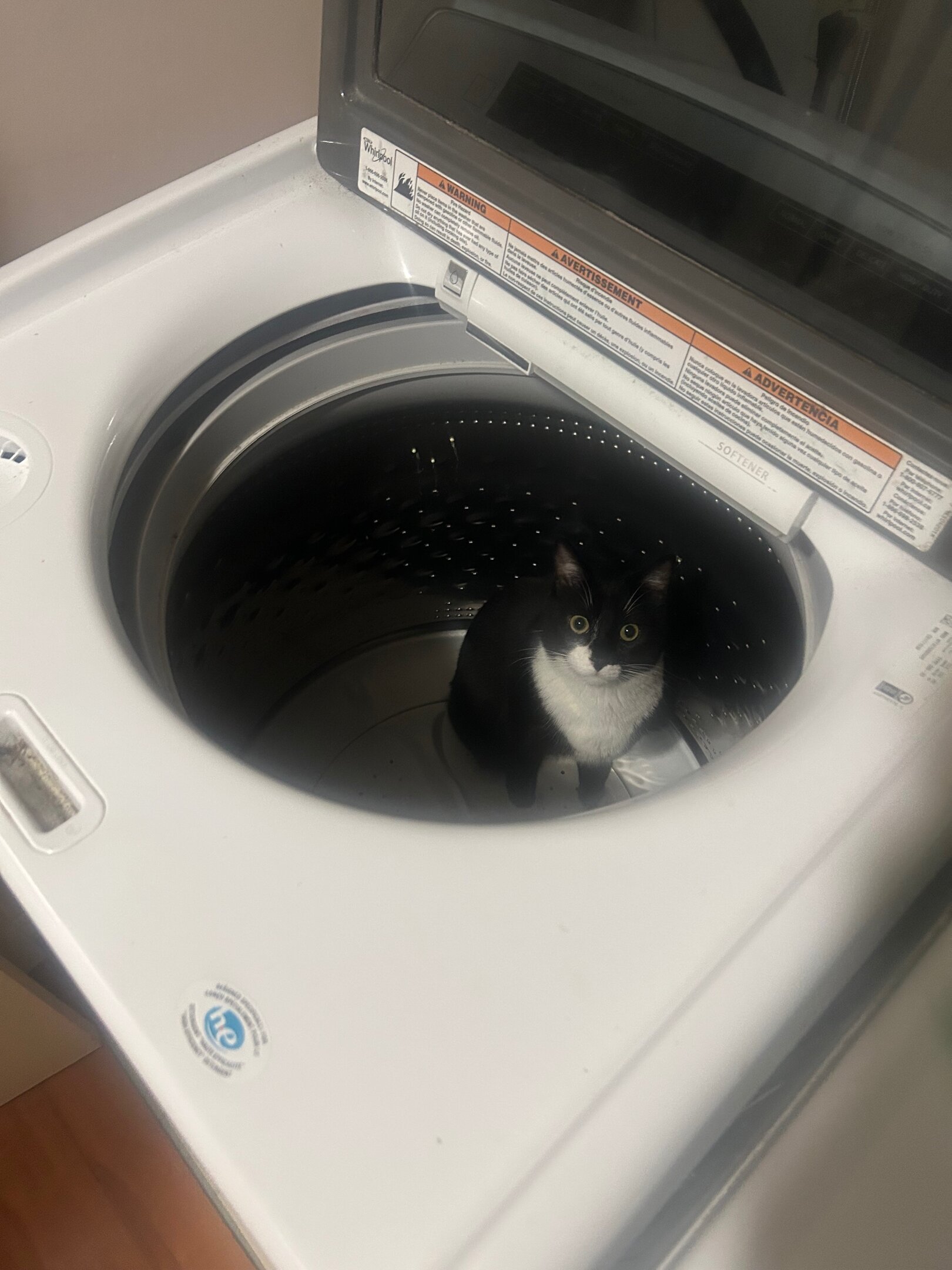 IMG_3101.jpeg.559923e5afd69ac3cd1c9b1d307d6b11.jpeg