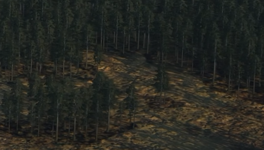 image.png.798b7b9f6757b913093f4ed6d6829809.png