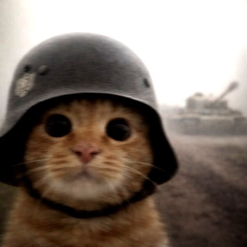 Helmcat.png.2ca421e69086d06190aa538e18c637ab.png