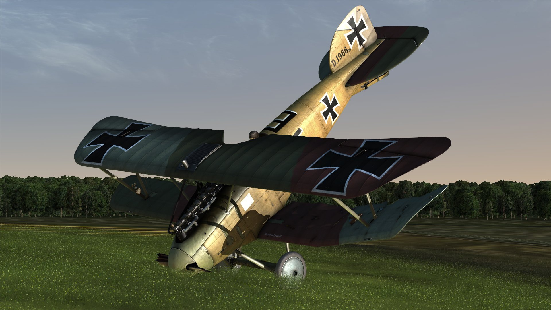 Jasta29-MartinEngels1.jpg.59a5c1a25d0ca239cf4dff6a143fa6c6.jpg