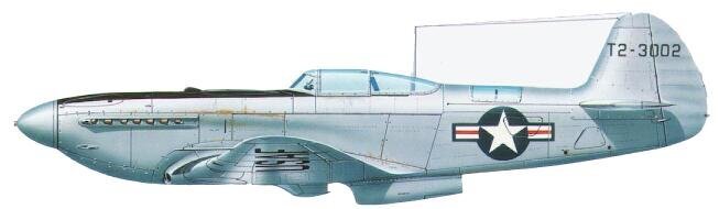yak-9p_usa_kamufl_580.jpg.d710ea8bda79c0f093b9e6705236a06d.jpg