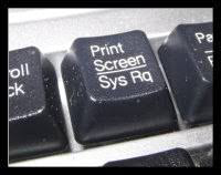 image.png.50165a84731bb28a223d082b91b31105.png